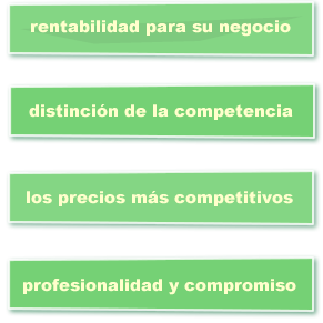 diseo web de calidad, posicionamiento profesional, seo profesional, paginas web a medida